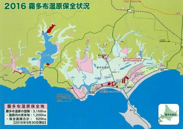 霧多布湿原保全状況