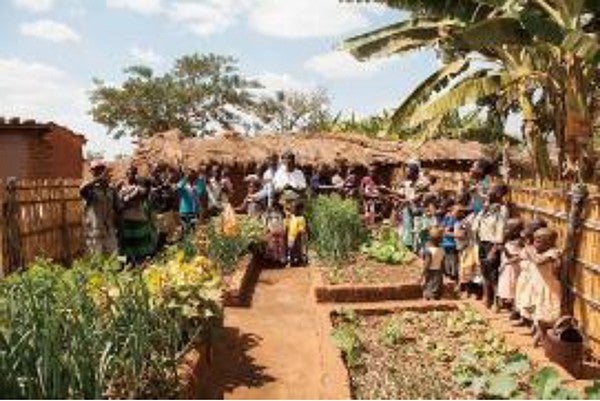 SAFIのノウハウを教わった 農業指導員が、各農家へ指導