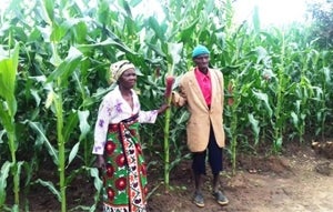 マラウイ共和国へ農業教育支援