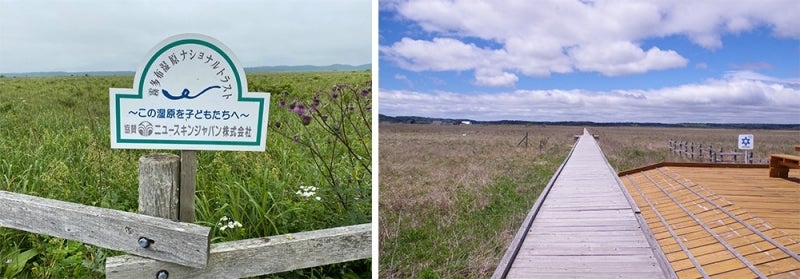 「霧多布湿原」保全活動を実施 