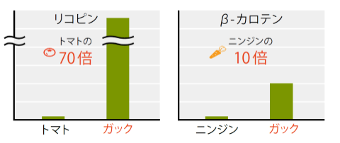 ガック（種衣）のリコピン、β-カロテン量