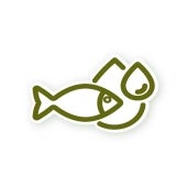 Nano CoQ10®​ Landing