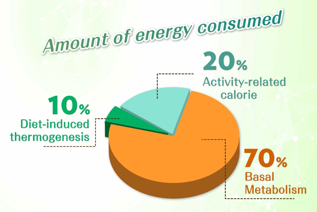 代謝健康學堂 Landing Page_EN