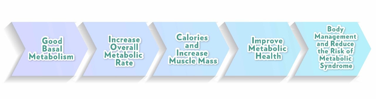 代謝健康學堂 Landing Page_EN