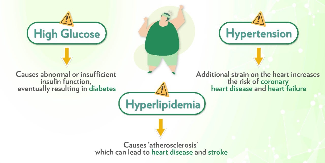代謝健康學堂 Landing Page_EN