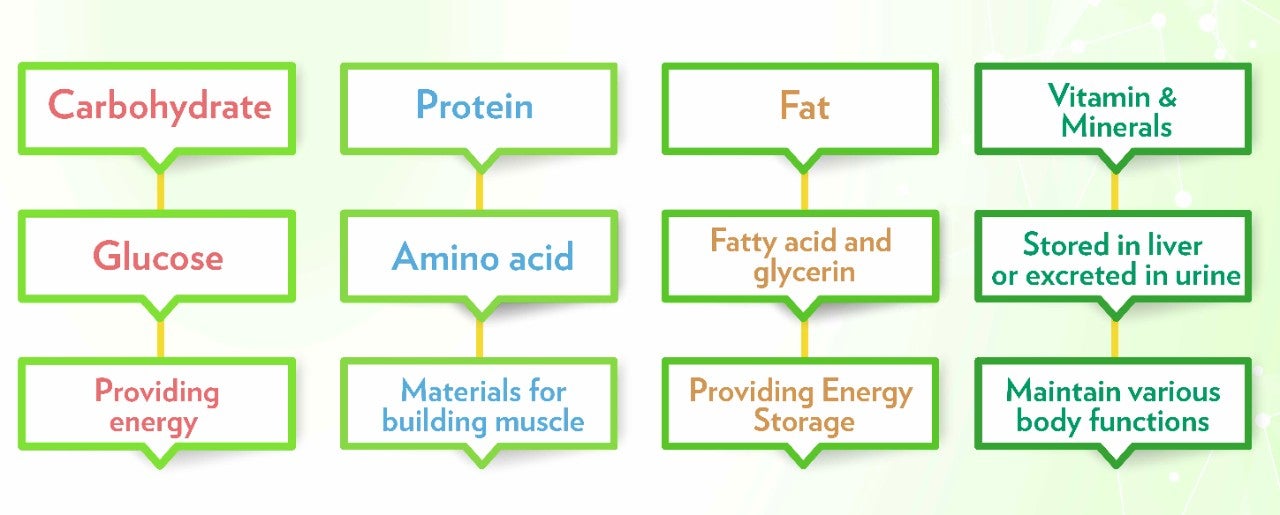 代謝健康學堂 Landing Page_EN