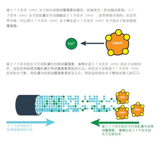 zh_photons_carotenoids