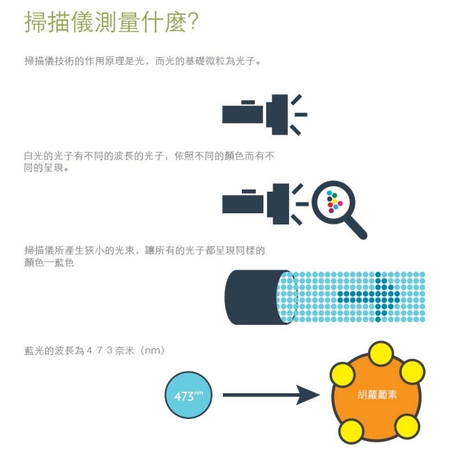 zh_what_does_the_scanner_measure