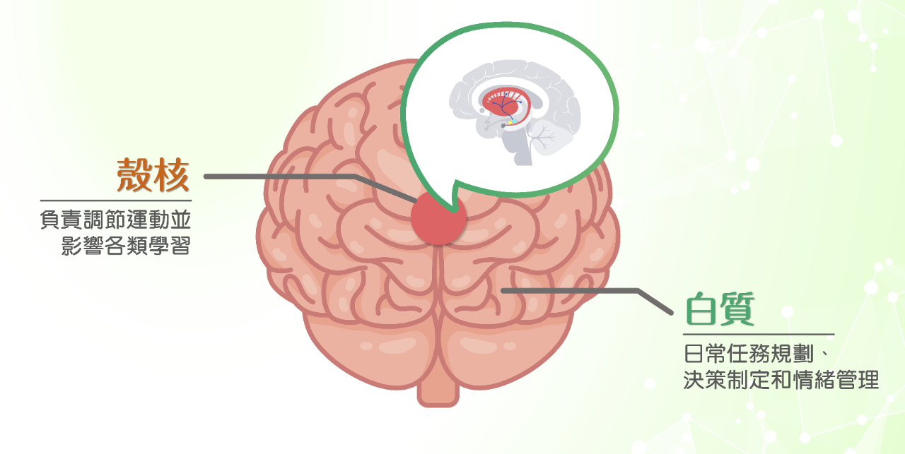 代謝健康學堂 Landing Page-16