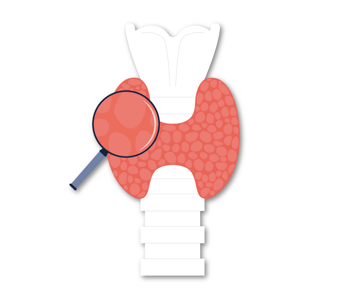 代謝健康學堂 Landing Page-34