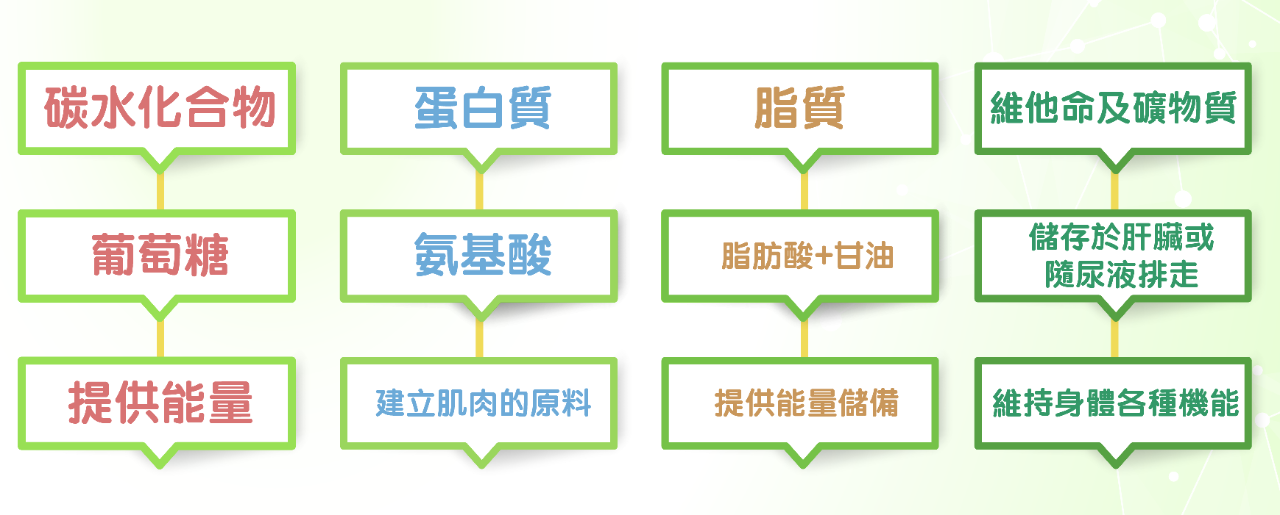 代謝健康學堂 Landing Page-18