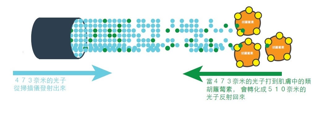 zh_photons_carotenoids