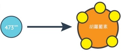 zh_what_does_the_scanner_measure